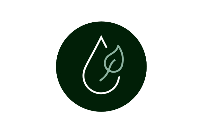 fatty Acid Methyl Ester