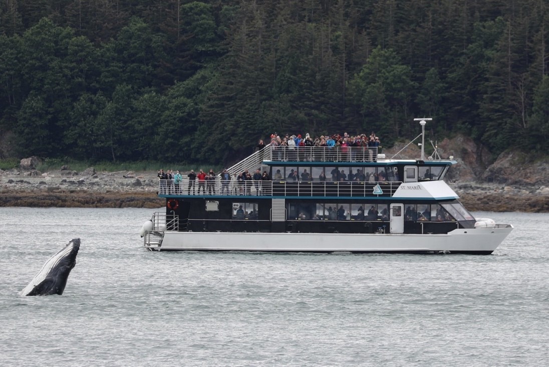 Allen Marine Tours Repower a Pair of Eco Tour Vessels with Scania QUAD V8 Engines