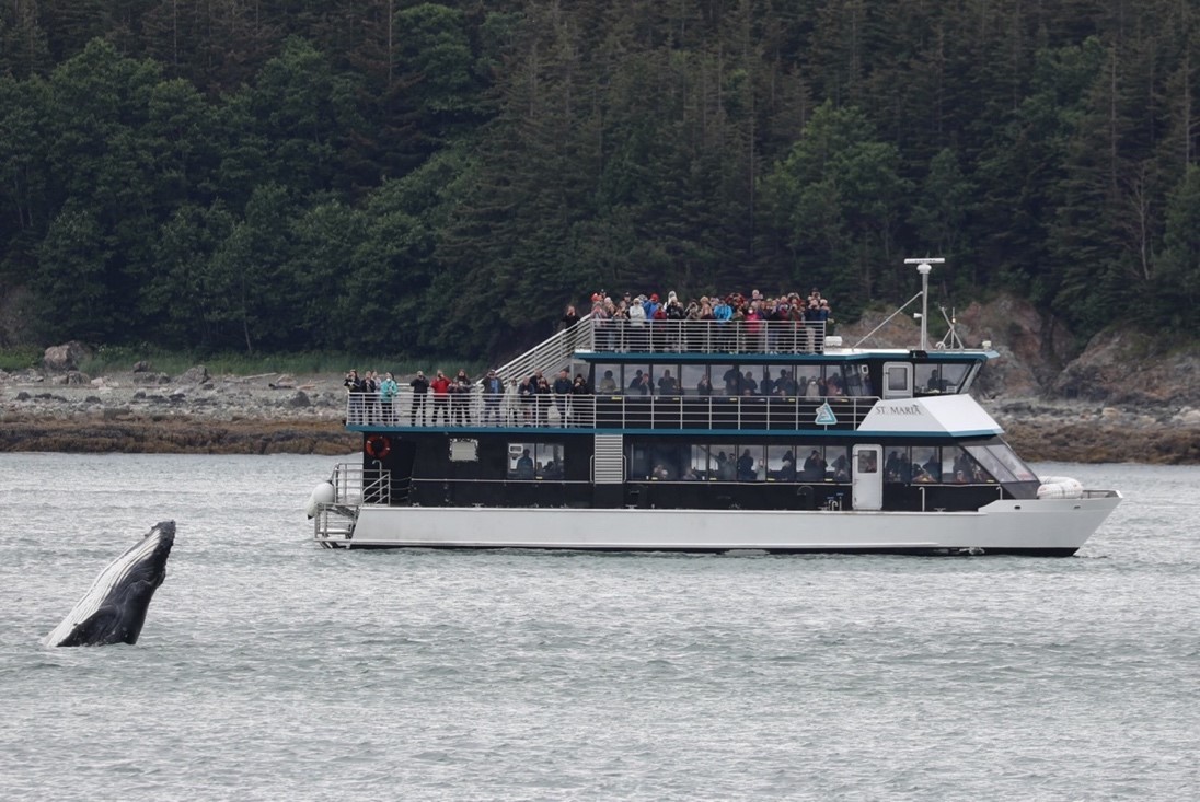 quad engine catamaran